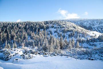 Fototapeta na wymiar zimowy krajobraz z gór, biały śnieg