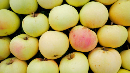Green apples lie diagonally on bright green grass, top view.