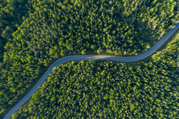 The time of year is summer. Road through a country of pine forests and lakes aerial view - 313707287