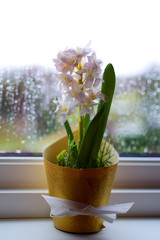 Artificial hyacinths are on the windowsill. Scandinavian cozy style. Close-up.  Vertical photo. Selective focus.