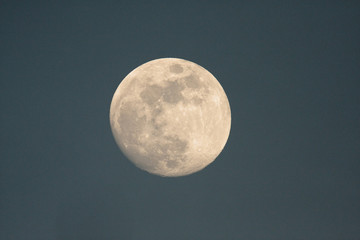 Full moon on the sky in dusk