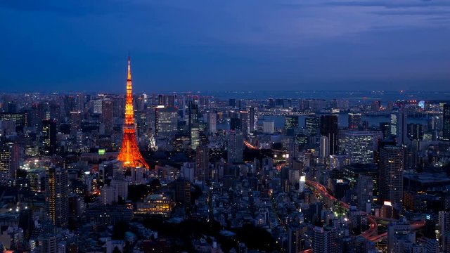 東京　2020　夜景　定番風景　タイムラプス