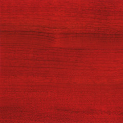 Wood texture background. Close up plywood surface with natural pattern