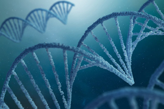 DNA complex spiral structure