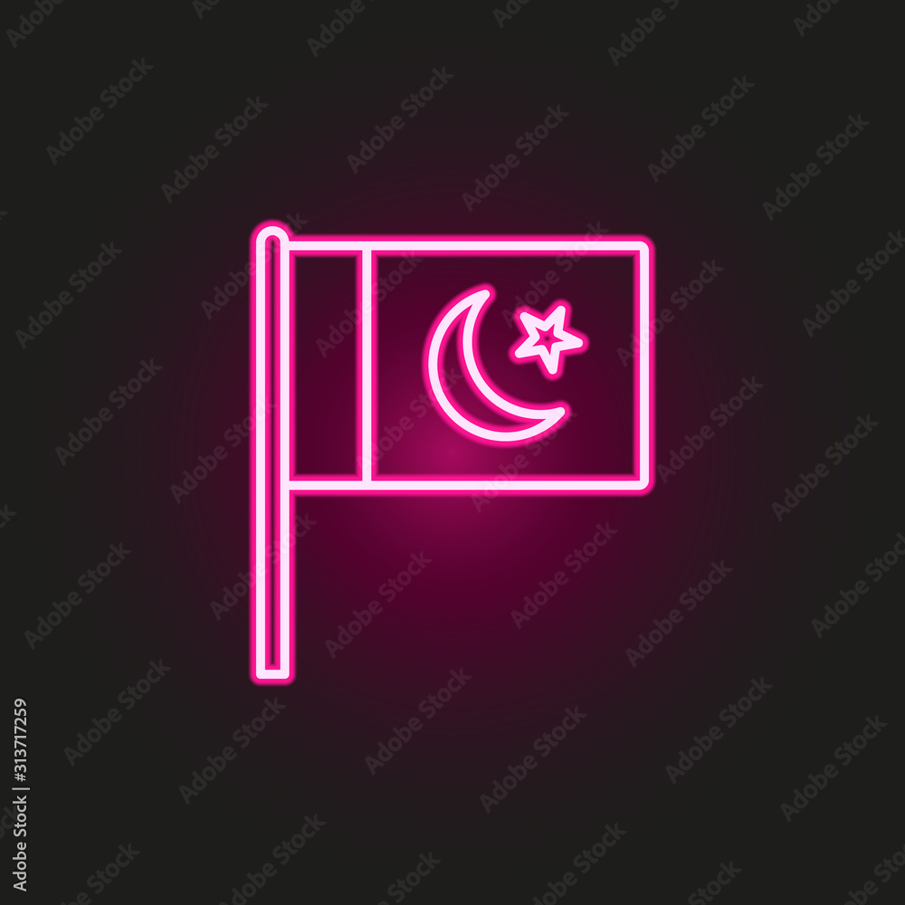 Poster pakistan neon style icon. simple thin line, outline vector of flags icons for ui and ux, website or 