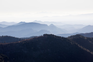 Looking East from Emory Pass (elevation 8800 feet)