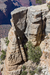Grand Canyon  rock formations from The Rim Trail near Kachina Lodge, Grand Canyon Village, Arizona, USA