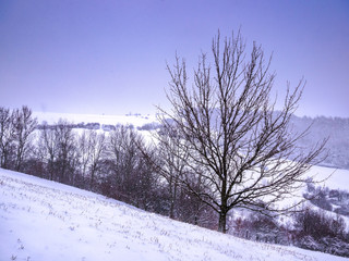 Winter scene with a tree and hills covered with snow in heavy snowfall - snowfall captured in motion
