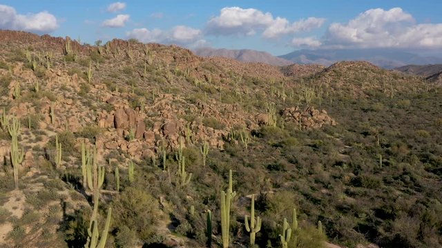 Aerial view of cactus in Phoenix Arizona