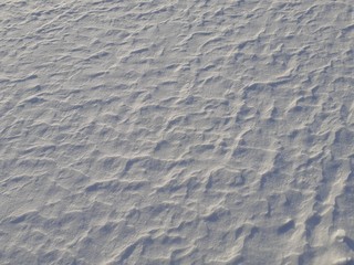 Waves on the surface of the snow, formed by the action of the wind.