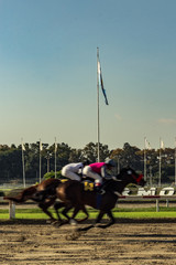 rider on horse race palermo argentina