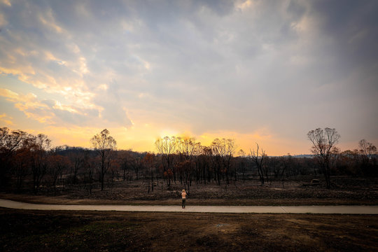 Young boy taking photos of aftermath of the 2019/2020 bushfire season in New South Wales, Australia