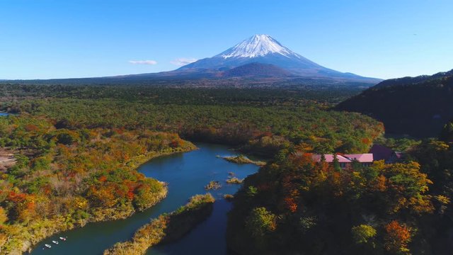 青木が原樹海と富士山空撮