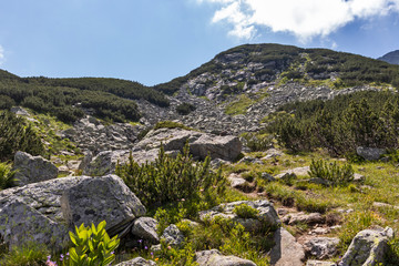 Fototapeta na wymiar Landscape near The Camel peak, Rila Mountain, Bulgaria