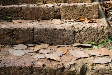 old cracked brick steps covered with yellow fallen leaves
