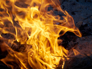 Flame bonfire on a night coast beach close up