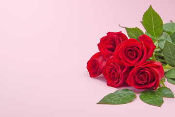 beautiful bouquet of roses on pink background. The concept of st valentine's day, Mother's Day, March 8.