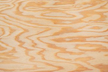 larch texture pattern as background