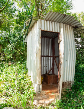A Zinc House Pit Latrine In The Woods With Hylocereus Cactus On The Roof