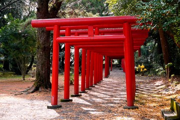 Fototapeta na wymiar 神社の赤い鳥居