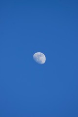 moon on blue sky