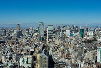 Fototapeta premium 東京パノラマビュー