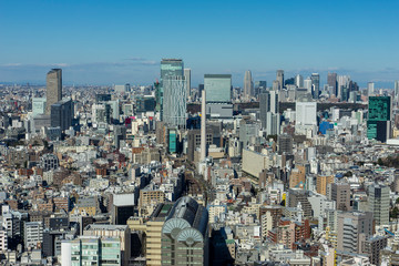 Fototapeta premium 東京パノラマビュー