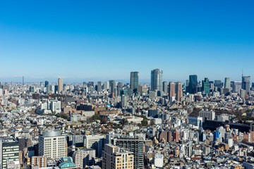 Fototapeta premium 東京パノラマビュー