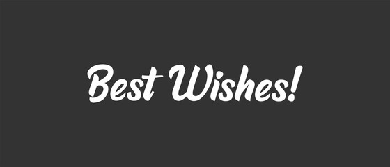 Fototapeta na wymiar Best wishes text, calligraphic lettering message