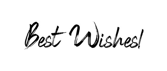 Best wishes text, calligraphic lettering message