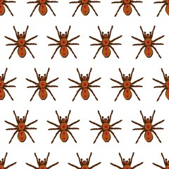 The vector seamless pattern. Cute tarantula pattern. Vector for wallpaper, child apron, fabric, textile pattern. Endless print. Background illustration vector.