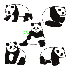 Obraz premium Illustration of scary panda set