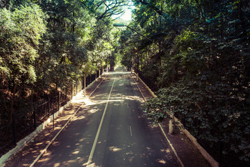 Fototapeta premium Street
