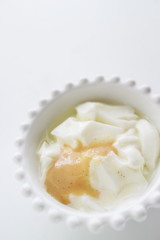 Vanilla Condense milk and yogurt for healthy dessert 