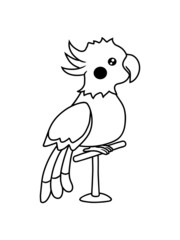 Lieber kleiner Nymphensittich 