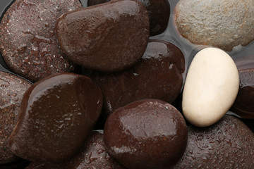 Spa stones in water as background, closeup. Zen lifestyle