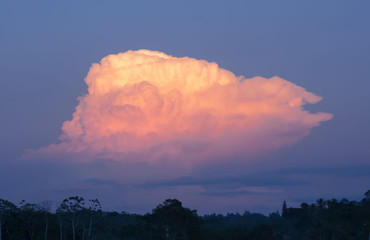  beautiful cloud orange cumulonimbus sky scape.yellow and red   cumuliform cloud  