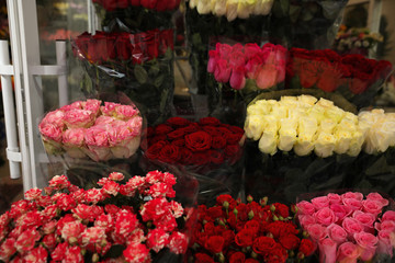 Assortment of beautiful flowers at wholesale market