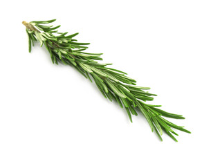 Fresh green rosemary isolated on white. Aromatic herb