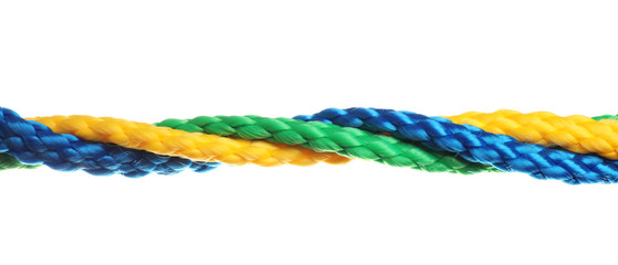 Twisted colorful ropes isolated on white. Unity concept