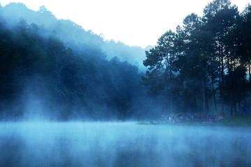 Fototapeta na wymiar Mist in the morning of nature.
