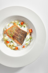 Trout Fillet in Cream Sauce with Vegetable Stew Isolated