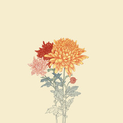 Illustration of chrysanthemum flowers. invitation card. Wedding invitation card template design Asian style.