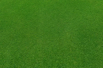 Foto op Plexiglas bovenaanzicht van echte groene grasachtergrond © nd700