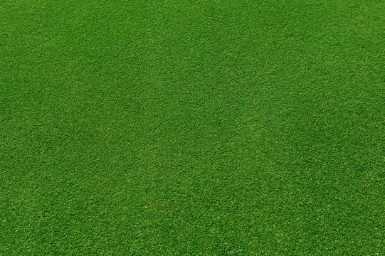  top view of real green grass background