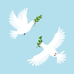 White pigeons with olive branch. Doves flying and holding a holly message. Symbol for peace, love, faith. Vector illustration.