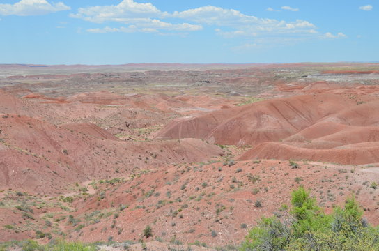 Early Summer in Arizona: View of the Painted Desert from Tiponi Point in Petrified Forest National Park