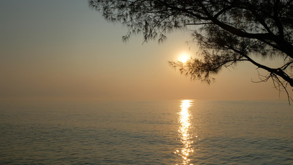 Fototapeta na wymiar Silhouette pine tree beside the sea with sunrise sky on the morning.