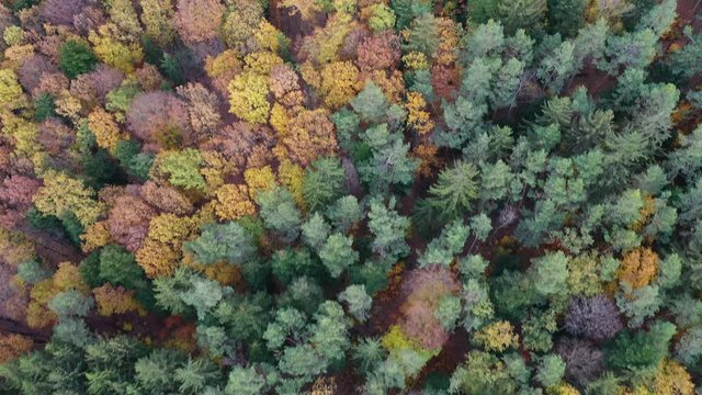 Beautiful view of Vltava river from Maj viewpoint. Czech Republic, Krnany, Europe. Maj viewpoint next to Prague in central Bohemia, Czech Republic. Aerial view of incredible Vyhlidka Maj.