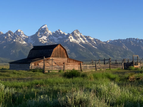 early morning view of a mormon row barn and grand teton mountain in wyoming